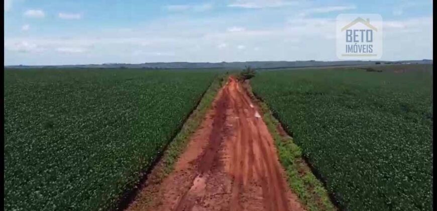 Ótima Fazenda à Venda 499 hectares Área para Plantio e Pastos | Piumhi/ MG