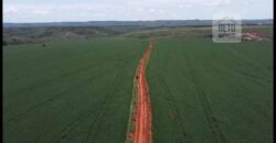 Ótima Fazenda à Venda 499 hectares Área para Plantio e Pastos | Piumhi/ MG