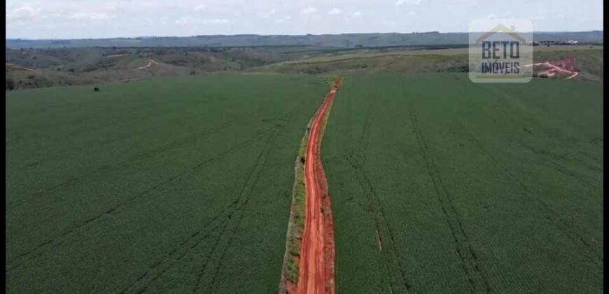 Ótima Fazenda à Venda 499 hectares Área para Plantio e Pastos | Piumhi/ MG