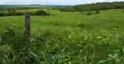 Fazenda à Venda 309 Has Pecuária e Agricultura c/ Toda Infraestrutura | Nova Xavantina/ MT