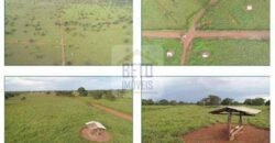 Duas Excelentes Fazendas à Venda total 7.131,76 has Lavourae Pecuária | Zona Rural, Paracatu/MG