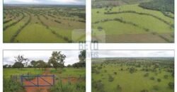 Duas Excelentes Fazendas à Venda total 7.131,76 has Lavourae Pecuária | Zona Rural, Paracatu/MG