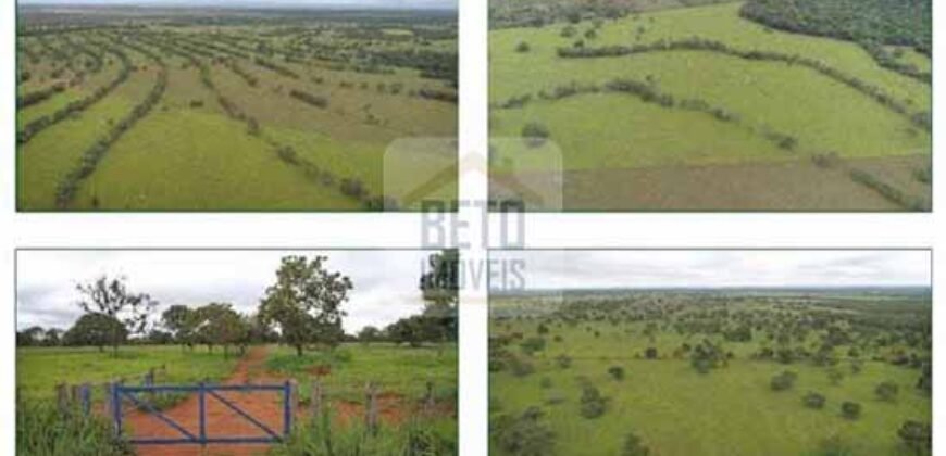 Duas Excelentes Fazendas à Venda total 7.131,76 has Lavourae Pecuária | Zona Rural, Paracatu/MG