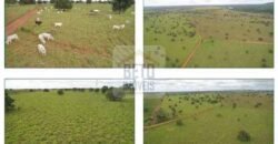 Duas Excelentes Fazendas à Venda total 7.131,76 has Lavourae Pecuária | Zona Rural, Paracatu/MG