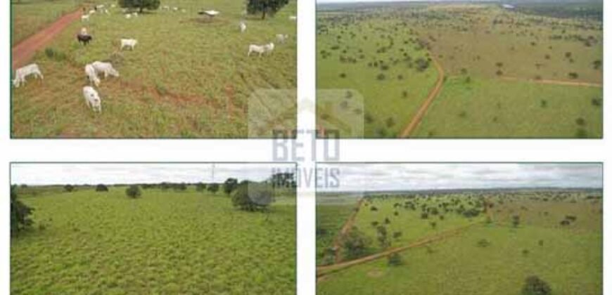 Duas Excelentes Fazendas à Venda total 7.131,76 has Lavourae Pecuária | Zona Rural, Paracatu/MG