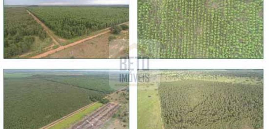 Duas Excelentes Fazendas à Venda total 7.131,76 has Lavourae Pecuária | Zona Rural, Paracatu/MG