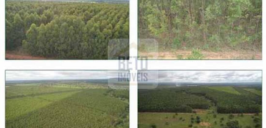 Duas Excelentes Fazendas à Venda total 7.131,76 has Lavourae Pecuária | Zona Rural, Paracatu/MG