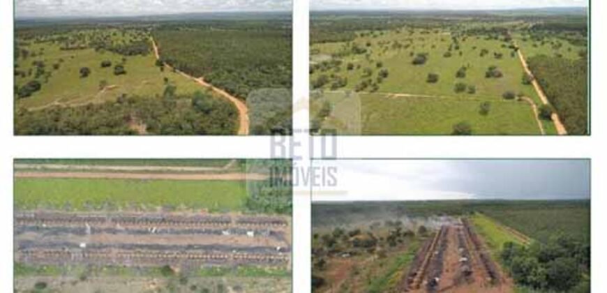 Duas Excelentes Fazendas à Venda total 7.131,76 has Lavourae Pecuária | Zona Rural, Paracatu/MG