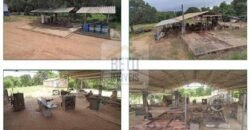 Duas Excelentes Fazendas à Venda total 7.131,76 has Lavourae Pecuária | Zona Rural, Paracatu/MG