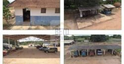 Duas Excelentes Fazendas à Venda total 7.131,76 has Lavourae Pecuária | Zona Rural, Paracatu/MG