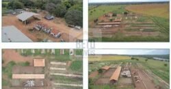 Duas Excelentes Fazendas à Venda total 7.131,76 has Lavourae Pecuária | Zona Rural, Paracatu/MG