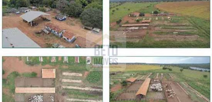 Duas Excelentes Fazendas à Venda total 7.131,76 has Lavourae Pecuária | Zona Rural, Paracatu/MG