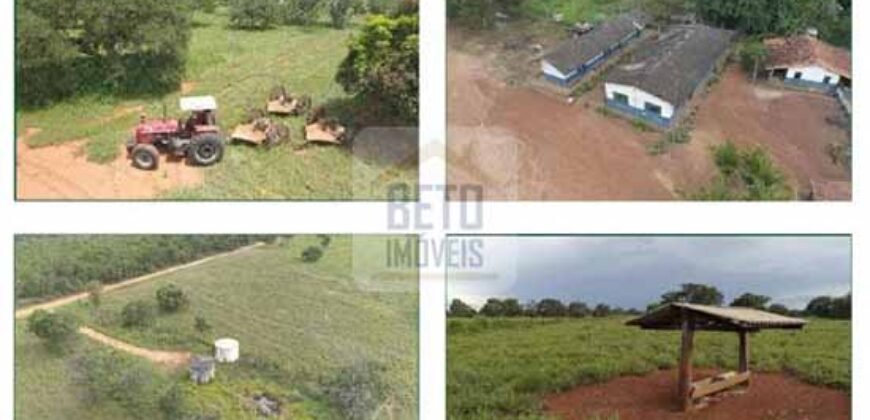 Duas Excelentes Fazendas à Venda total 7.131,76 has Lavourae Pecuária | Zona Rural, Paracatu/MG