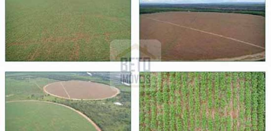 Duas Excelentes Fazendas à Venda total 7.131,76 has Lavourae Pecuária | Zona Rural, Paracatu/MG