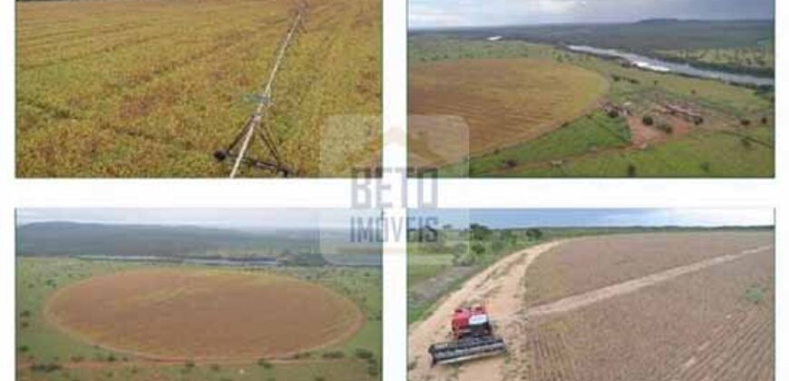 Duas Excelentes Fazendas à Venda total 7.131,76 has Lavourae Pecuária | Zona Rural, Paracatu/MG