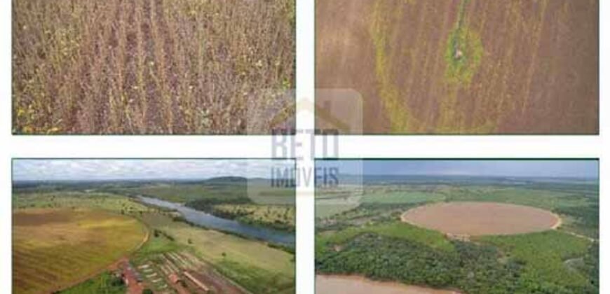 Duas Excelentes Fazendas à Venda total 7.131,76 has Lavourae Pecuária | Zona Rural, Paracatu/MG