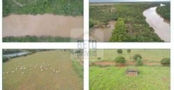 Duas Excelentes Fazendas à Venda total 7.131,76 has Lavourae Pecuária | Zona Rural, Paracatu/MG