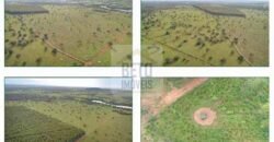 Duas Excelentes Fazendas à Venda total 7.131,76 has Lavourae Pecuária | Zona Rural, Paracatu/MG