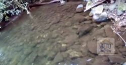 Oportunidade Única: Fazenda 76 alq. Potencial Econômico, Ambiental e Turístico | Casimiro de Abreu/ RJ