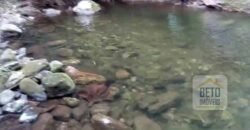 Oportunidade Única: Fazenda 76 alq. Potencial Econômico, Ambiental e Turístico | Casimiro de Abreu/ RJ