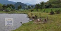 Oportunidade Única: Fazenda 76 alq. Potencial Econômico, Ambiental e Turístico | Casimiro de Abreu/ RJ