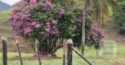 Oportunidade Única: Fazenda 76 alq. Potencial Econômico, Ambiental e Turístico | Casimiro de Abreu/ RJ