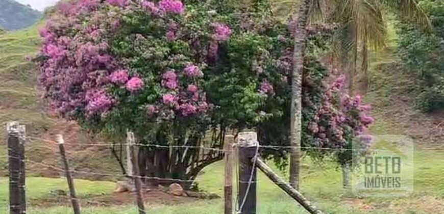 Oportunidade Única: Fazenda 76 alq. Potencial Econômico, Ambiental e Turístico | Casimiro de Abreu/ RJ