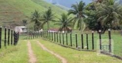 Oportunidade Única: Fazenda 76 alq. Potencial Econômico, Ambiental e Turístico | Casimiro de Abreu/ RJ