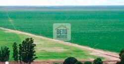 Fazenda à Venda 13.035 hectares Infraestrutura Completa lavoura | Região de Cocos/ BA