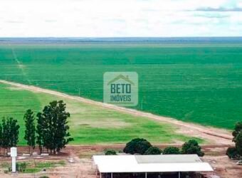 Fazenda à Venda 13.035 hectares Infraestrutura Completa lavoura | Região de Cocos/ BA