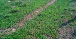 Fazenda à Venda 202 Alqueires Grande Oportunidade de Negócio | Sta. Maria da Barreira/ PA Fazenda à Venda 202 Alqueires Grande Oportunidade de Negócio | Sta. Maria da Barreira/ PA