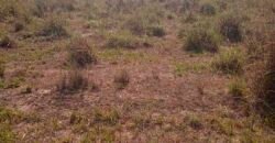 Fazenda à Venda 202 Alqueires Grande Oportunidade de Negócio | Sta. Maria da Barreira/ PA Fazenda à Venda 202 Alqueires Grande Oportunidade de Negócio | Sta. Maria da Barreira/ PA