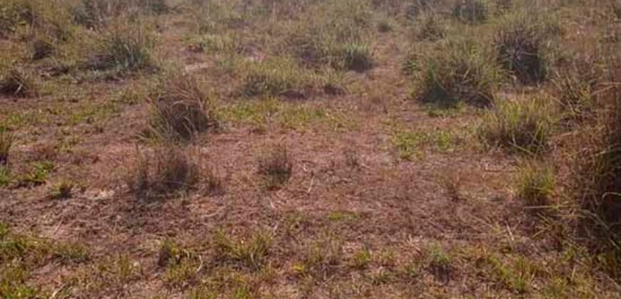 Fazenda à Venda 202 Alqueires Grande Oportunidade de Negócio | Sta. Maria da Barreira/ PA Fazenda à Venda 202 Alqueires Grande Oportunidade de Negócio | Sta. Maria da Barreira/ PA