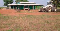 Fazenda à Venda 202 Alqueires Grande Oportunidade de Negócio | Sta. Maria da Barreira/ PA Fazenda à Venda 202 Alqueires Grande Oportunidade de Negócio | Sta. Maria da Barreira/ PA