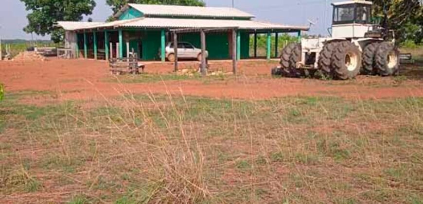 Fazenda à Venda 202 Alqueires Grande Oportunidade de Negócio | Sta. Maria da Barreira/ PA Fazenda à Venda 202 Alqueires Grande Oportunidade de Negócio | Sta. Maria da Barreira/ PA