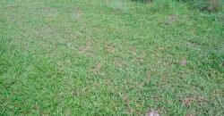 Fazenda à Venda 202 Alqueires Grande Oportunidade de Negócio | Sta. Maria da Barreira/ PA Fazenda à Venda 202 Alqueires Grande Oportunidade de Negócio | Sta. Maria da Barreira/ PA