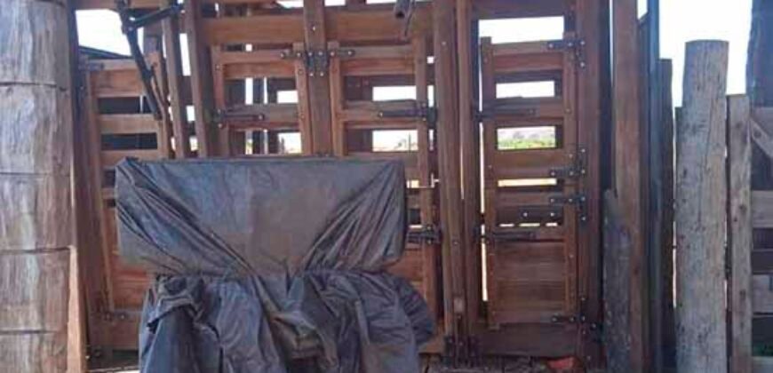 Fazenda à Venda 202 Alqueires Grande Oportunidade de Negócio | Sta. Maria da Barreira/ PA Fazenda à Venda 202 Alqueires Grande Oportunidade de Negócio | Sta. Maria da Barreira/ PA