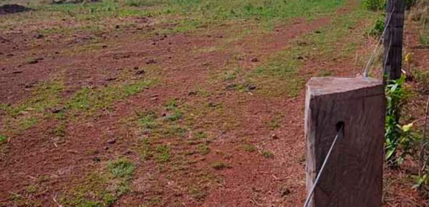 Fazenda à Venda 202 Alqueires Grande Oportunidade de Negócio | Sta. Maria da Barreira/ PA Fazenda à Venda 202 Alqueires Grande Oportunidade de Negócio | Sta. Maria da Barreira/ PA