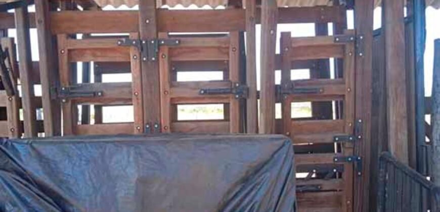 Fazenda à Venda 202 Alqueires Grande Oportunidade de Negócio | Sta. Maria da Barreira/ PA Fazenda à Venda 202 Alqueires Grande Oportunidade de Negócio | Sta. Maria da Barreira/ PA