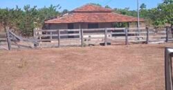 Fazenda à Venda 202 Alqueires Grande Oportunidade de Negócio | Sta. Maria da Barreira/ PA Fazenda à Venda 202 Alqueires Grande Oportunidade de Negócio | Sta. Maria da Barreira/ PA