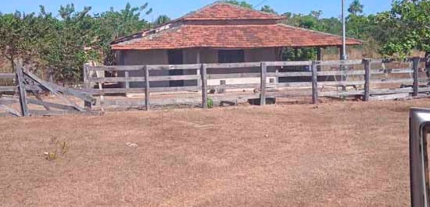 Fazenda à Venda 202 Alqueires Grande Oportunidade de Negócio | Sta. Maria da Barreira/ PA Fazenda à Venda 202 Alqueires Grande Oportunidade de Negócio | Sta. Maria da Barreira/ PA