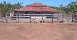 Fazenda à Venda 202 Alqueires Grande Oportunidade de Negócio | Sta. Maria da Barreira/ PA Fazenda à Venda 202 Alqueires Grande Oportunidade de Negócio | Sta. Maria da Barreira/ PA