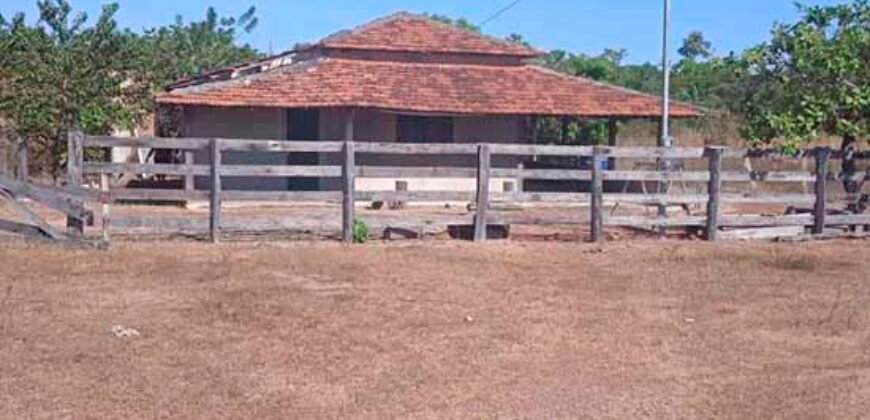 Fazenda à Venda 202 Alqueires Grande Oportunidade de Negócio | Sta. Maria da Barreira/ PA Fazenda à Venda 202 Alqueires Grande Oportunidade de Negócio | Sta. Maria da Barreira/ PA