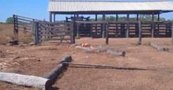 Fazenda à Venda 202 Alqueires Grande Oportunidade de Negócio | Sta. Maria da Barreira/ PA Fazenda à Venda 202 Alqueires Grande Oportunidade de Negócio | Sta. Maria da Barreira/ PA