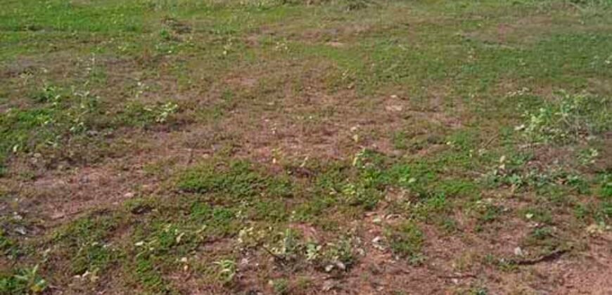 Fazenda à Venda 202 Alqueires Grande Oportunidade de Negócio | Sta. Maria da Barreira/ PA Fazenda à Venda 202 Alqueires Grande Oportunidade de Negócio | Sta. Maria da Barreira/ PA