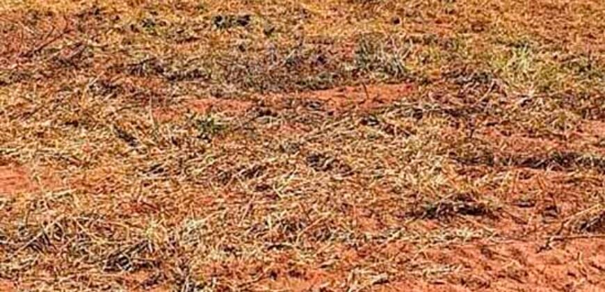 Oportunidade Única: Fazenda à Venda 2.993 Has Toda Infraestrutura | Entre Barra do Bugres e Lambari D’Oeste/ MT