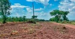 Oportunidade Única: Fazenda à Venda 2.993 Has Toda Infraestrutura | Entre Barra do Bugres e Lambari D’Oeste/ MT