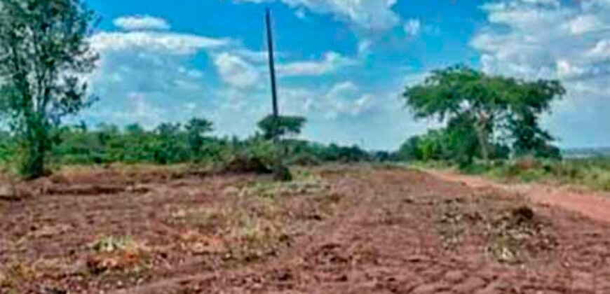 Oportunidade Única: Fazenda à Venda 2.993 Has Toda Infraestrutura | Entre Barra do Bugres e Lambari D’Oeste/ MT
