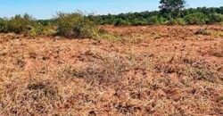 Oportunidade Única: Fazenda à Venda 2.993 Has Toda Infraestrutura | Entre Barra do Bugres e Lambari D’Oeste/ MT