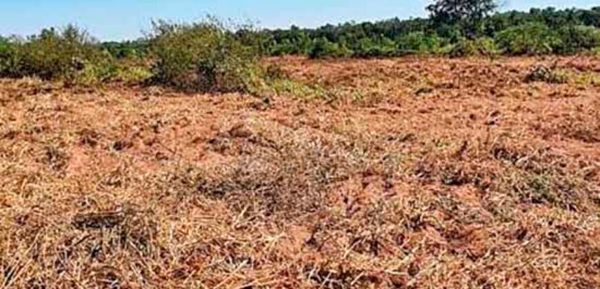 Oportunidade Única: Fazenda à Venda 2.993 Has Toda Infraestrutura | Entre Barra do Bugres e Lambari D’Oeste/ MT